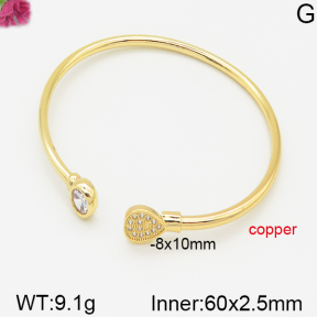 Fashion Copper Bangle  F5BA40369bhva-J22