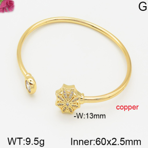 Fashion Copper Bangle  F5BA40378bhva-J22