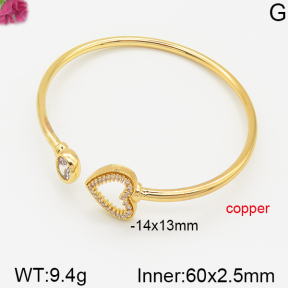 Fashion Copper Bangle  F5BA40381bhva-J22