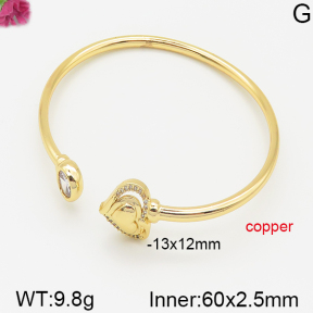 Fashion Copper Bangle  F5BA40400bhva-J22