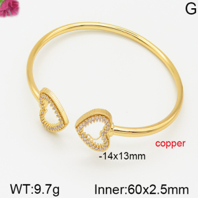 Fashion Copper Bangle  F5BA40430bhva-J22