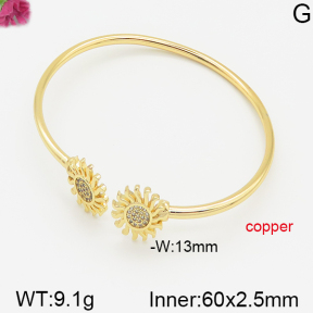 Fashion Copper Bangle  F5BA40435bhva-J22