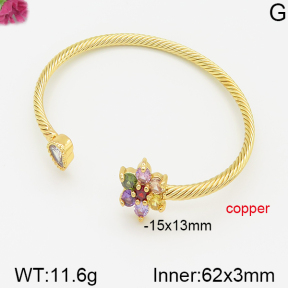 Fashion Copper Bangle  F5BA40437bhva-J22