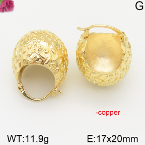 Fashion Copper Earrings  F5E200097vhoj-J92