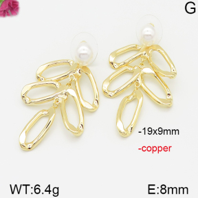 Fashion Copper Earrings  F5E300116vhok-J92