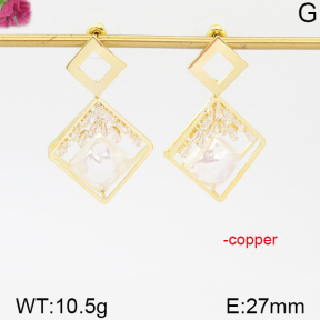 Fashion Copper Earrings  F5E300117aijm-J92