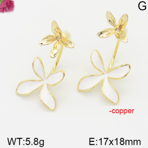 Fashion Copper Earrings  F5E300122bihm-J92
