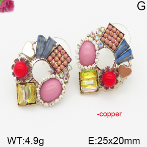Fashion Copper Earrings  F5E400472vhpi-J92