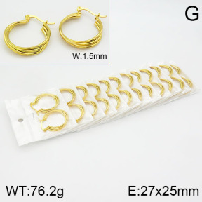 Stainless Steel Earrings  2E2000746alka-671