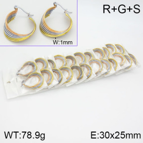 Stainless Steel Earrings  2E2000751bnob-671