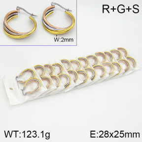 Stainless Steel Earrings  2E2000753bmmb-671