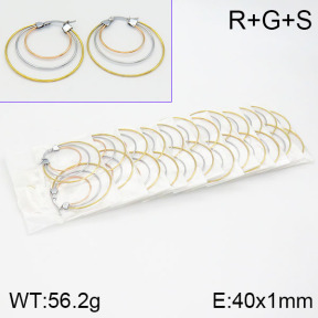Stainless Steel Earrings  2E2000756bnib-671