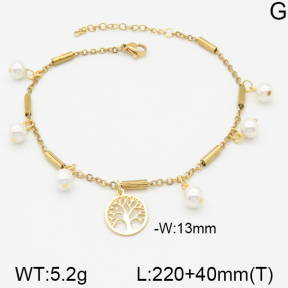 Stainless Steel Anklets  5A9000412bbml-610