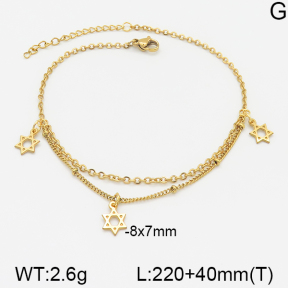 Stainless Steel Anklets  5A9000417vbll-610