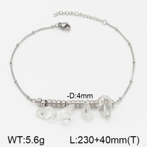 Stainless Steel Anklets  5A9000420vbmb-610