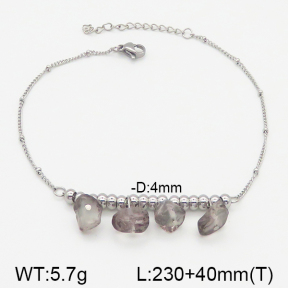 Stainless Steel Anklets  5A9000421vbmb-610