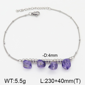 Stainless Steel Anklets  5A9000423vbmb-610