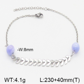 Stainless Steel Anklets  5A9000428ablb-610