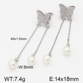 Stainless Steel Earrings  5E3000444baka-614