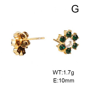 Stainless Steel Earrings  Zircon,Handmade Polished  6E4003343bhia-066