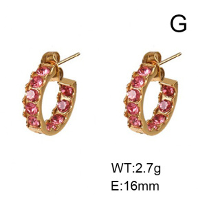 Stainless Steel Earrings  Zircon,Handmade Polished  6E4003346bhia-066