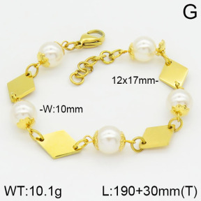 Stainless Steel Bracelet  2B3000793vbpb-685