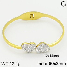 Stainless Steel Bangle  2BA400412bbml-680