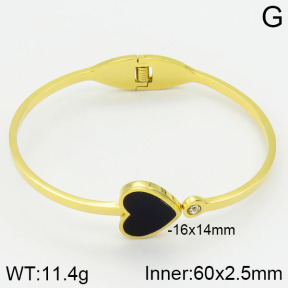 Stainless Steel Bangle  2BA400413bbml-680