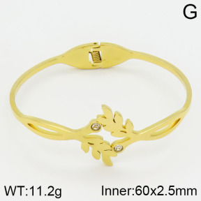 Stainless Steel Bangle  2BA400414bbml-680
