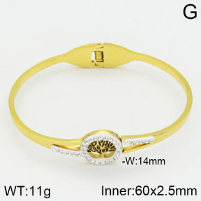 Stainless Steel Bangle  2BA400415bbml-680