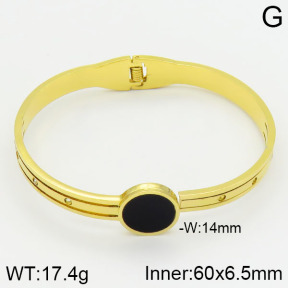 Stainless Steel Bangle  2BA400418bbml-680