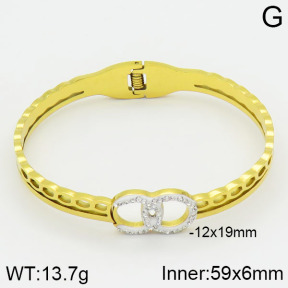 Stainless Steel Bangle  2BA400419bbml-680
