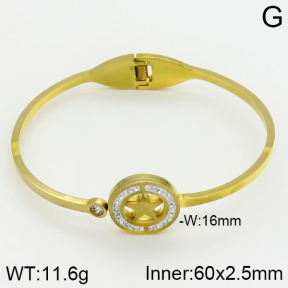Stainless Steel Bangle  2BA400421bbml-680