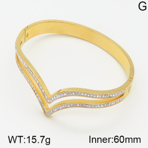 Stainless Steel Bangle  5BA400648vhov-617