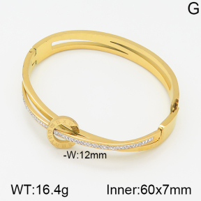 Stainless Steel Bangle  5BA400669vhnv-617