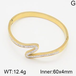 Stainless Steel Bangle  5BA400672ahlv-617