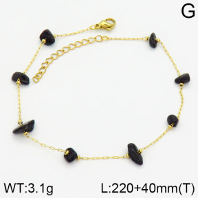 Stainless Steel Anklets  2A9000550vbpb-738