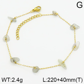 Stainless Steel Anklets  2A9000553vbpb-738