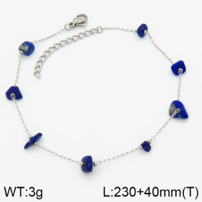 Stainless Steel Anklets  2A9000554bbov-738