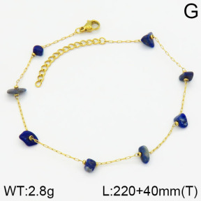 Stainless Steel Anklets  2A9000555vbpb-738