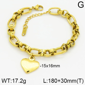 Stainless Steel Bracelet  2B2000721vbpb-738