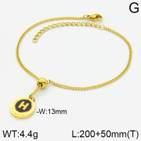 Stainless Steel Bracelet  2B3000802ablb-738