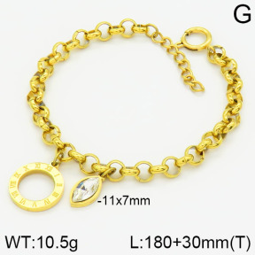 Stainless Steel Bracelet  2B4001131vbpb-738