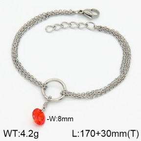 Stainless Steel Bracelet  2B4001169bbml-314