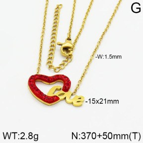 Stainless Steel Necklace  2N4000589vbpb-363