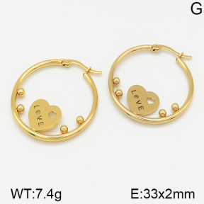 Stainless Steel Earrings  5E2001198aaio-703