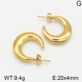 Stainless Steel Earrings  5E2001209vbnl-703