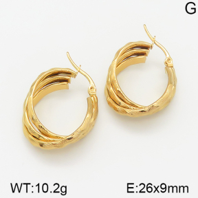 Stainless Steel Earrings  5E2001210baka-703