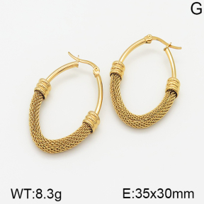 Stainless Steel Earrings  5E2001217ablb-703