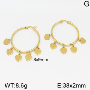 Stainless Steel Earrings  5E2001219vajj-703